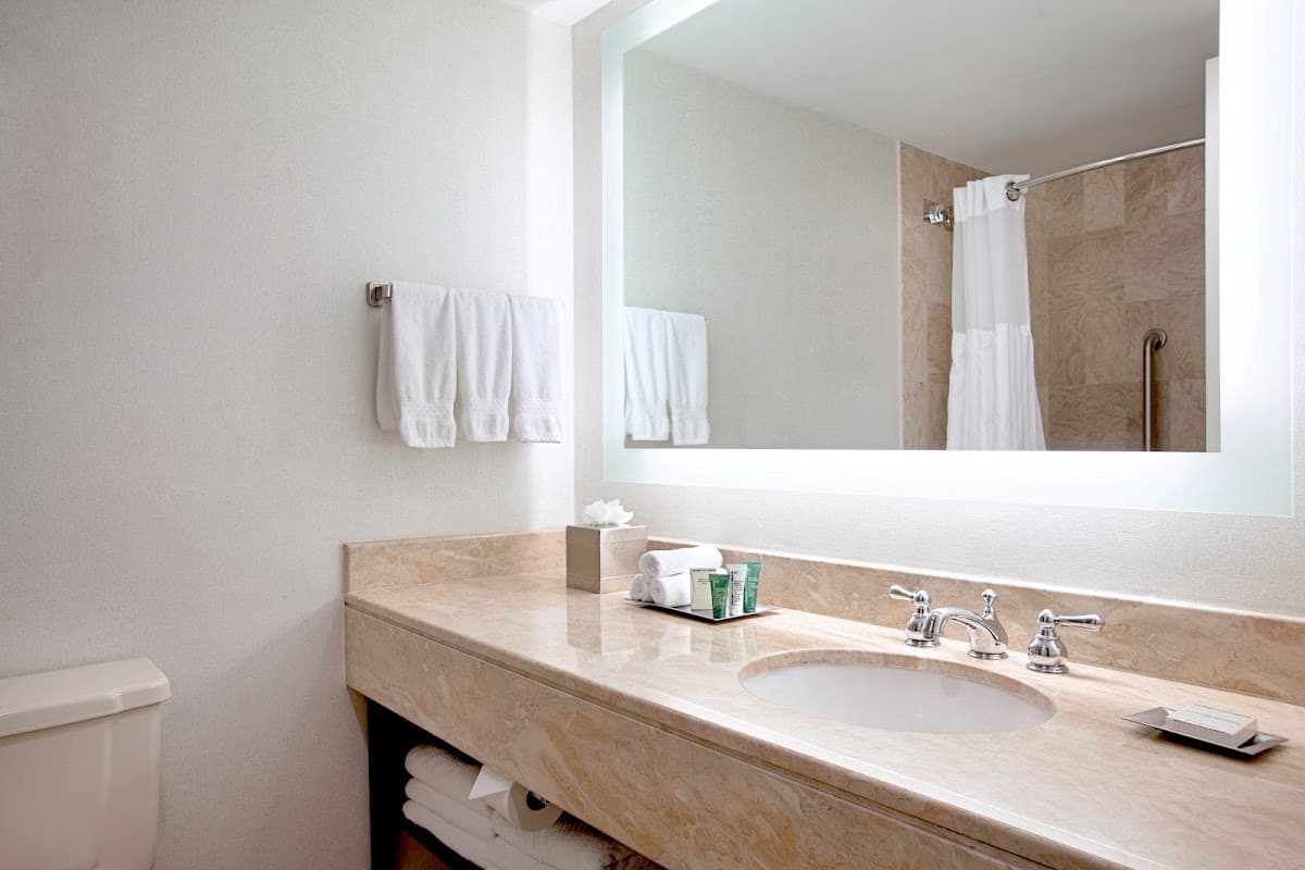 Hilton Boston/Dedham — photo 4