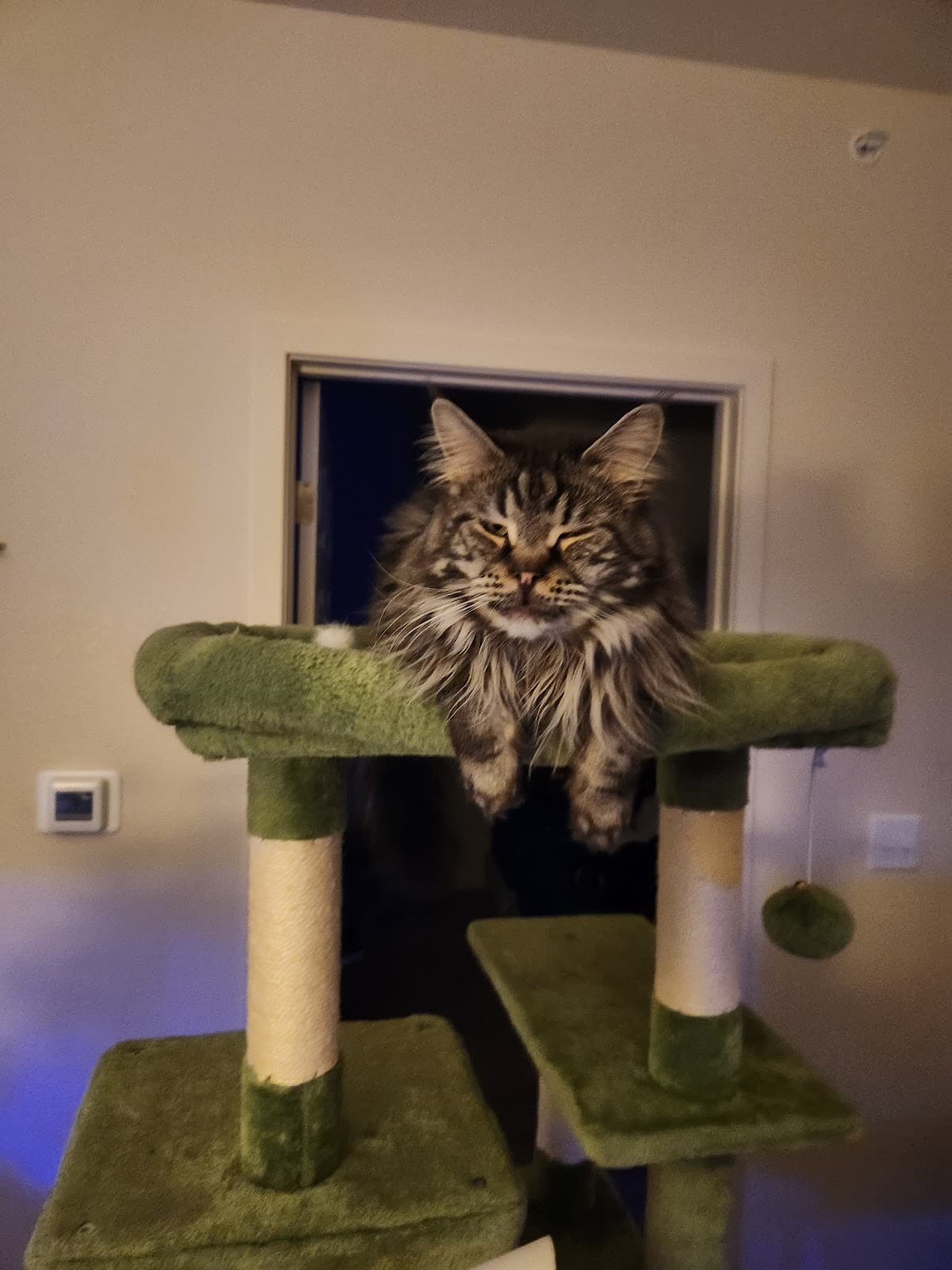 Bentley Commons Apartments — photo 1