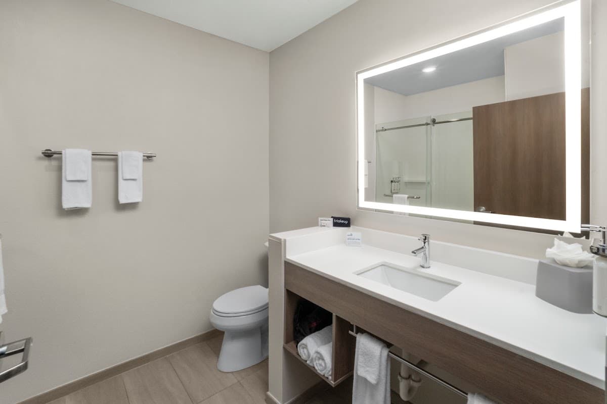 Holiday Inn Express Hattiesburg West – Univ Area by IHG — photo 4