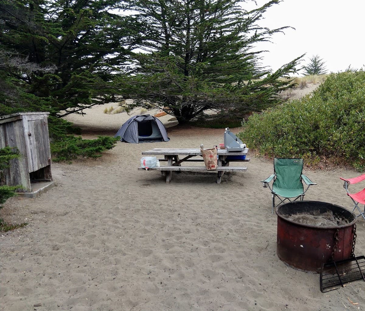 Bodega Dunes Campground — photo 3