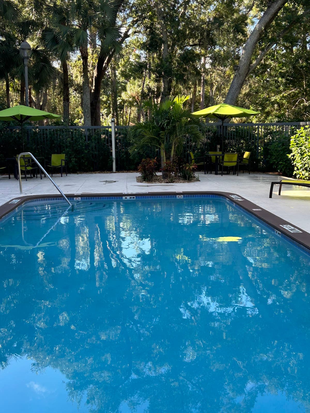 SpringHill Suites by Marriott Sarasota Bradenton — photo 3