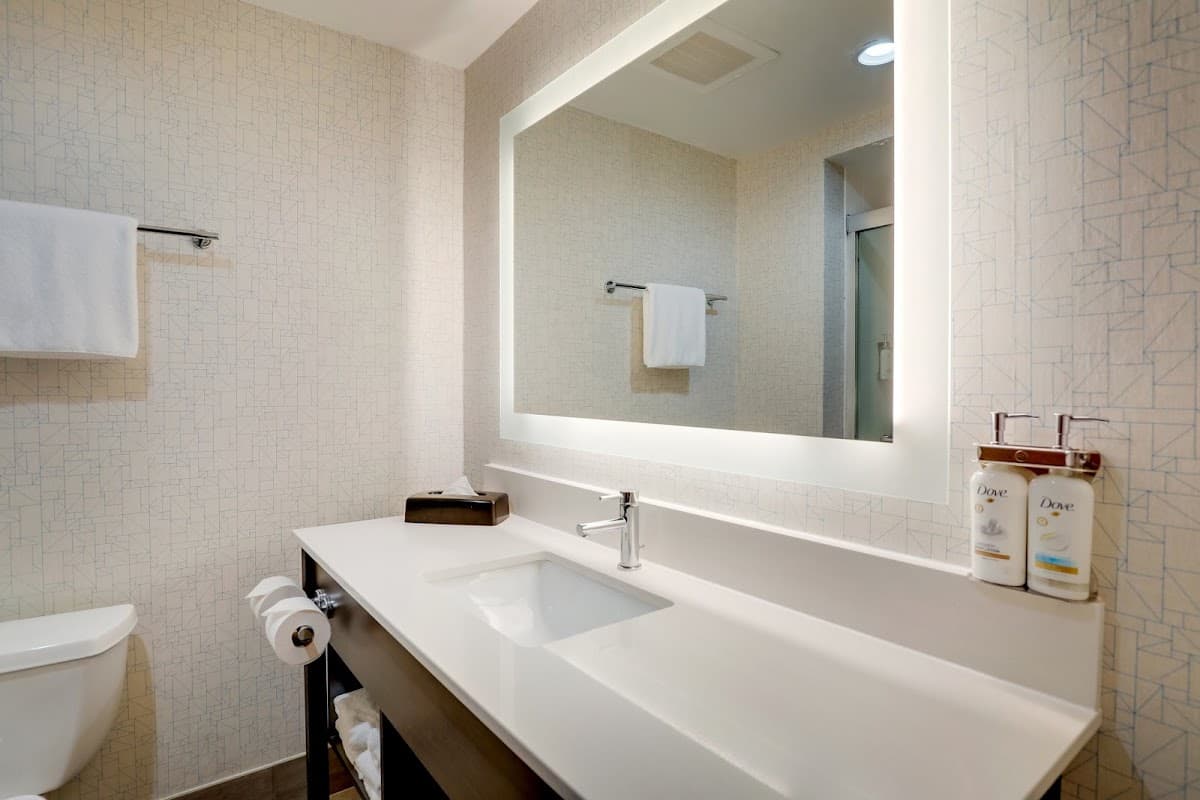 Holiday Inn Express & Suites Orangeburg by IHG — photo 4