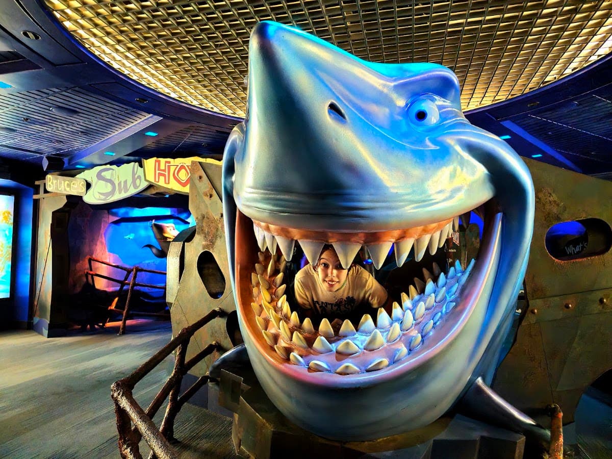 The Seas with Nemo & Friends — photo 1