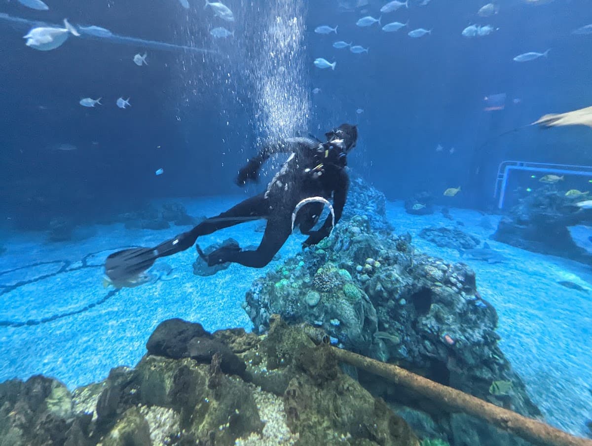 The Seas with Nemo & Friends — photo 2