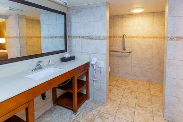 Comfort Inn Salt Lake City Downtown — photo 4