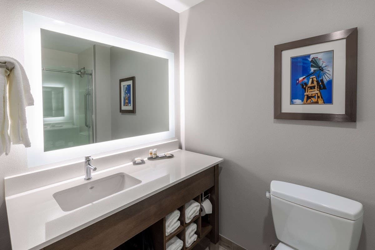 La Quinta Inn & Suites by Wyndham Round Rock near Kalahari — photo 4