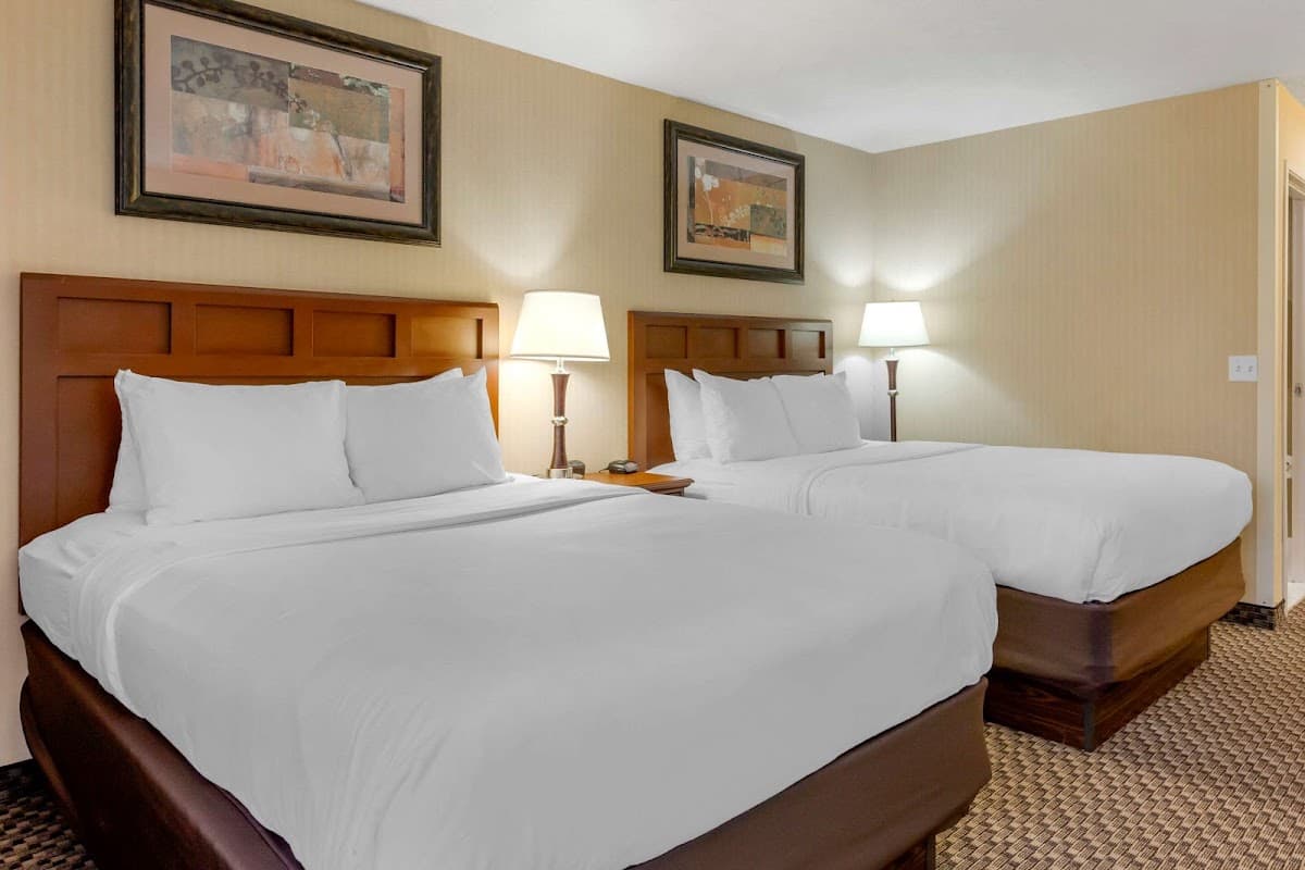 Comfort Inn Traverse City — photo 2