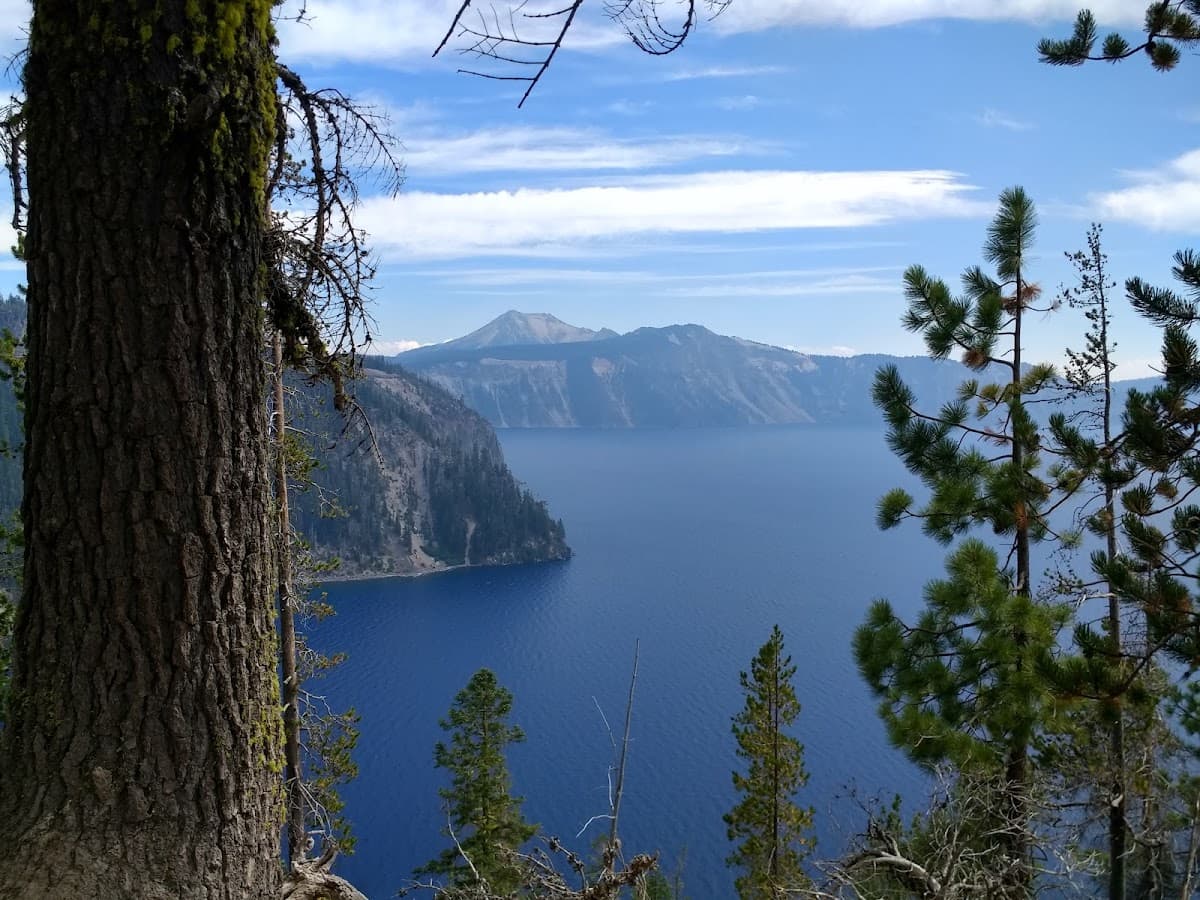 Mazama Village Campground & Cabins — photo 4