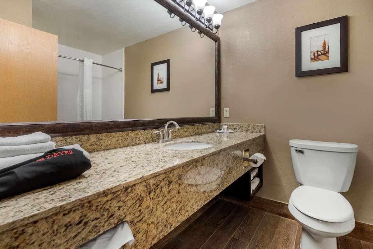 Comfort Suites near Route 66 — photo 4