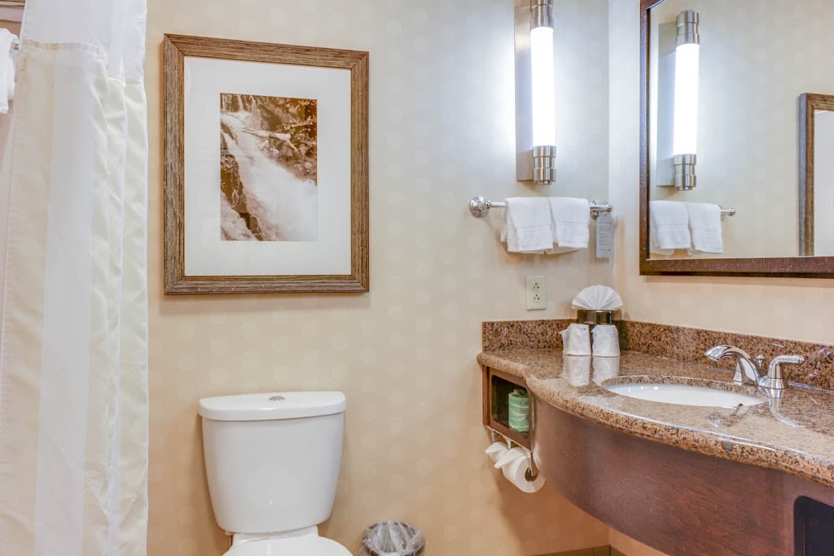 Hilton Garden Inn Gatlinburg — photo 4
