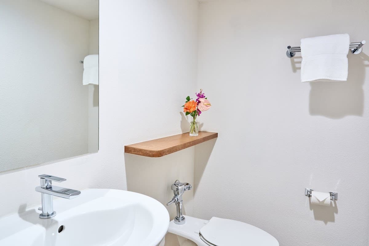 voco Sandpiper All-Inclusive Resort by IHG — photo 5