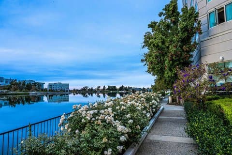 Grand Bay Hotel San Francisco — photo 1