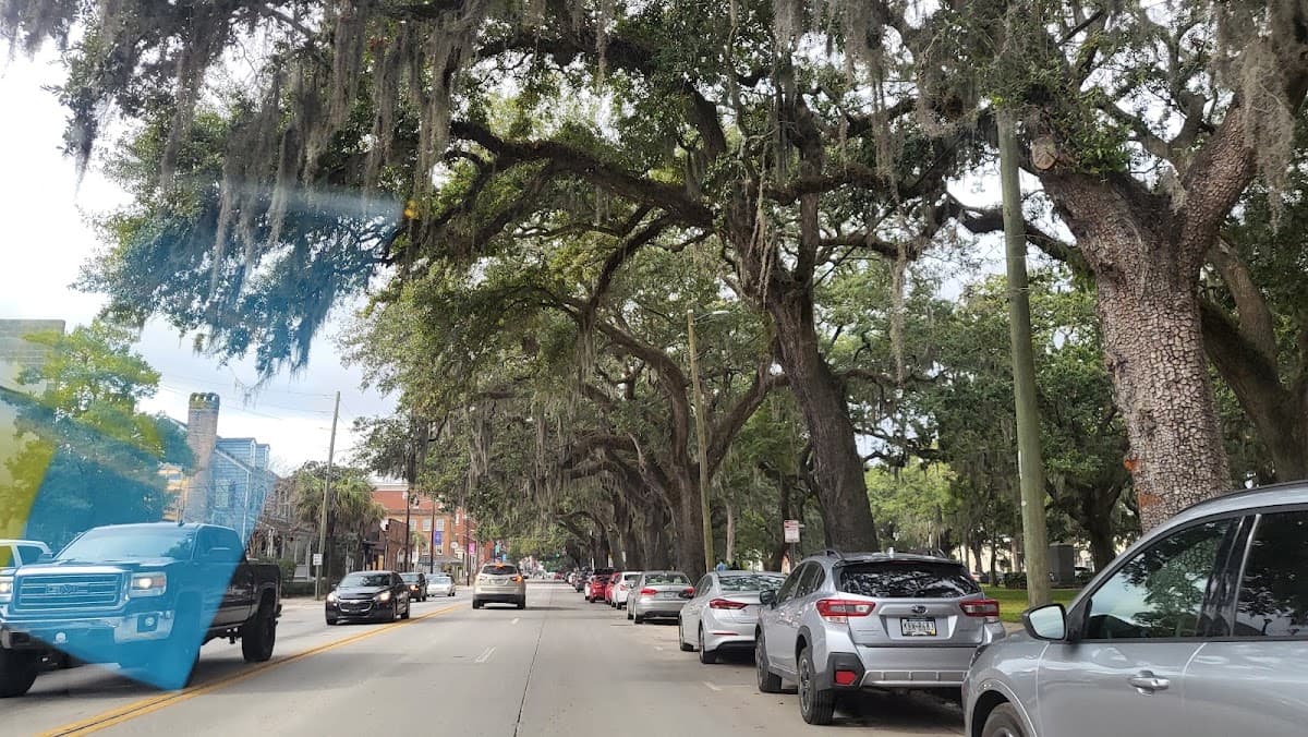 The Spanish Moss Inn — photo 5