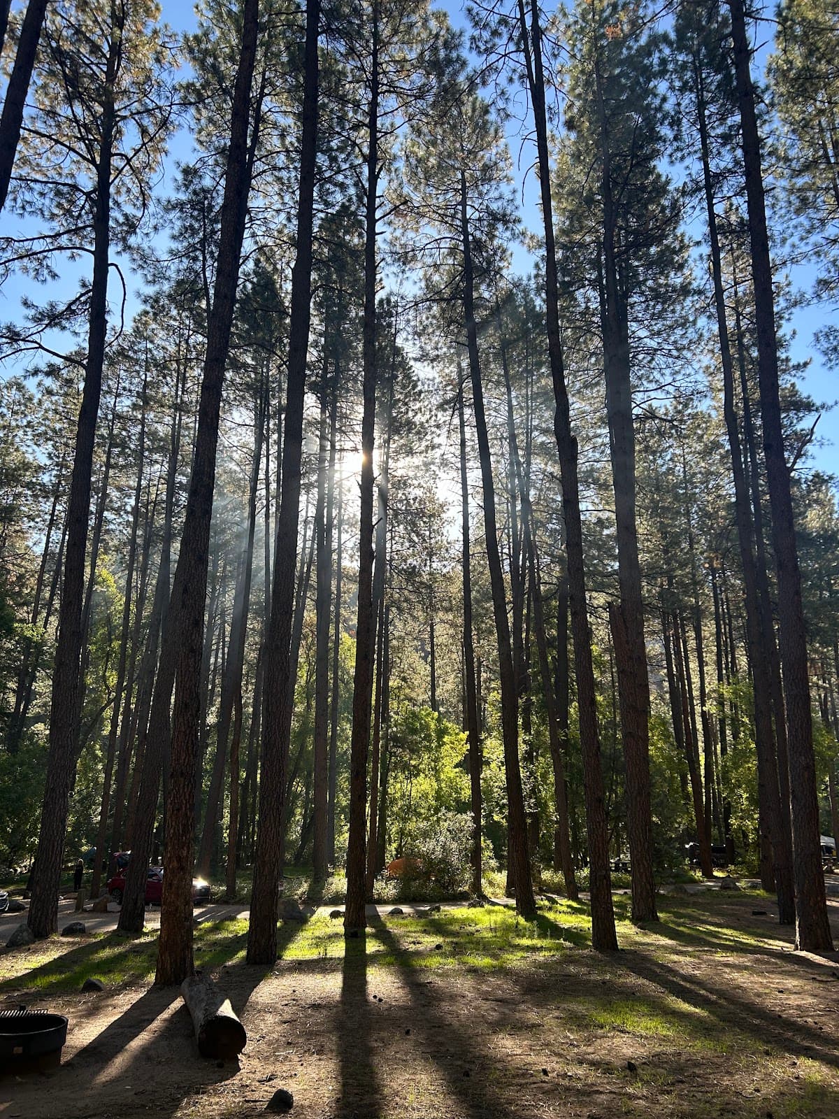 Cave Springs Campground — photo 4