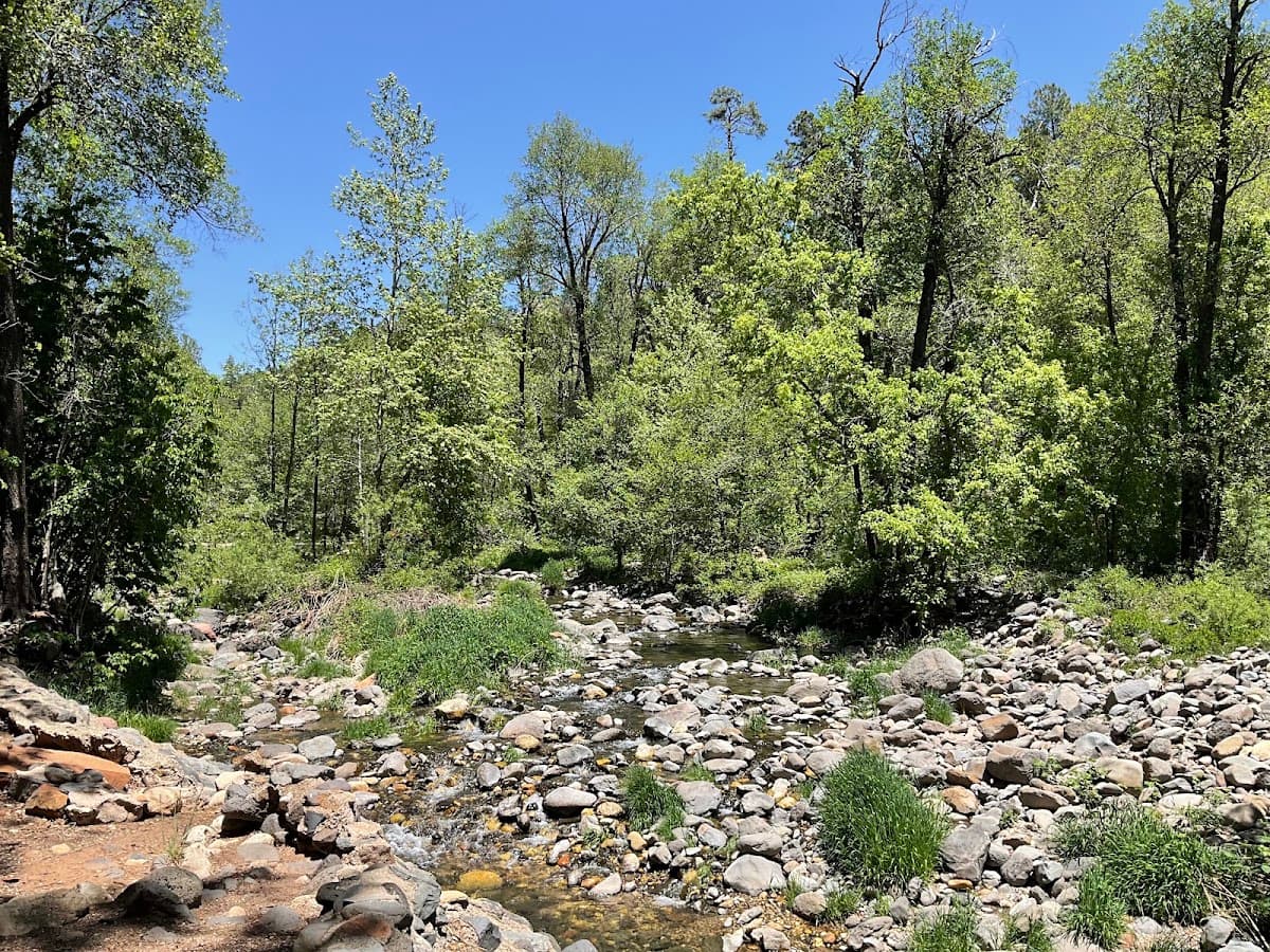 Cave Springs Campground — photo 5