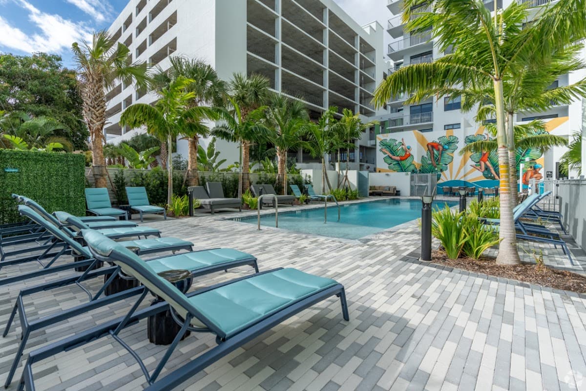 The Tropic — photo 3
