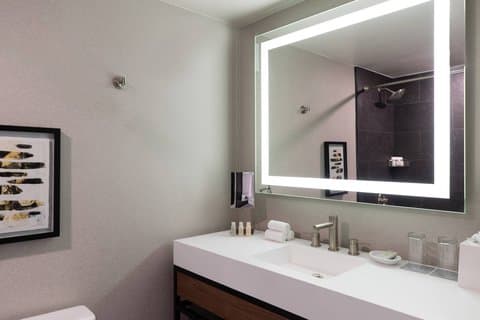 Renaissance Chicago North Shore Hotel — photo 4