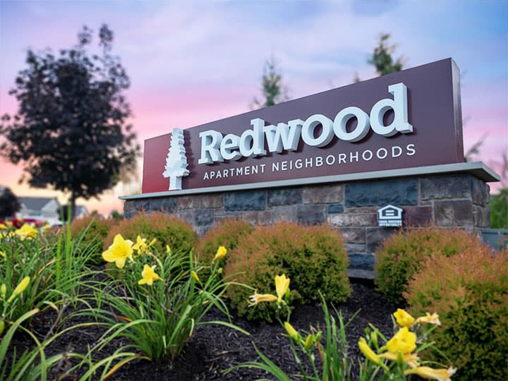 Redwood Aurora — photo 1