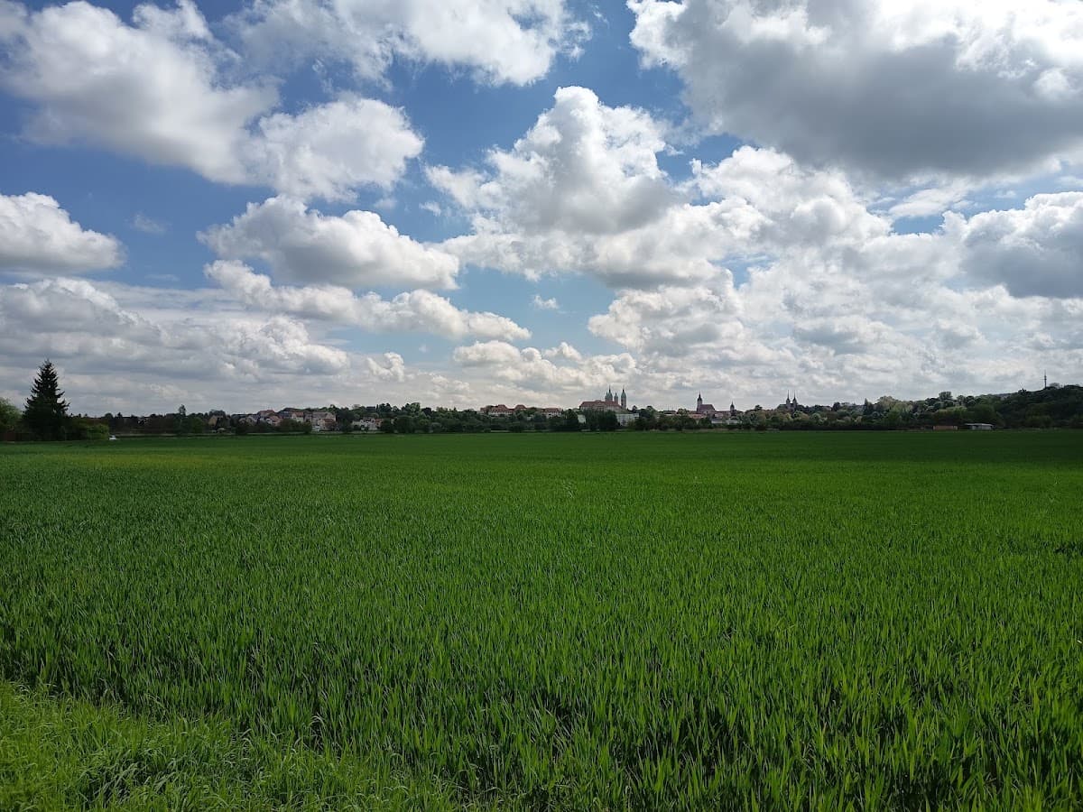 Jennys Ferienwohnungen & Kräuterwanderungen Naumburg — photo 1