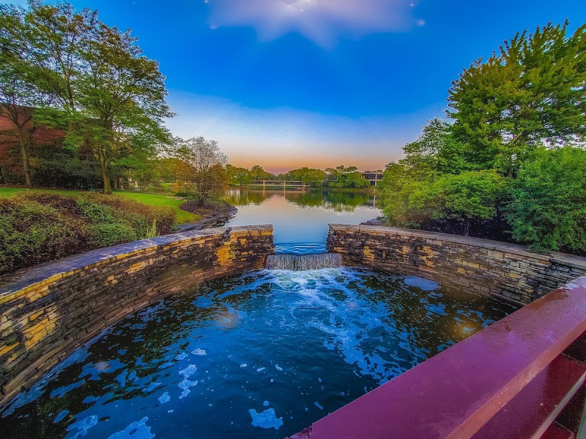 Hyatt Lodge Oak Brook Chicago — photo 3