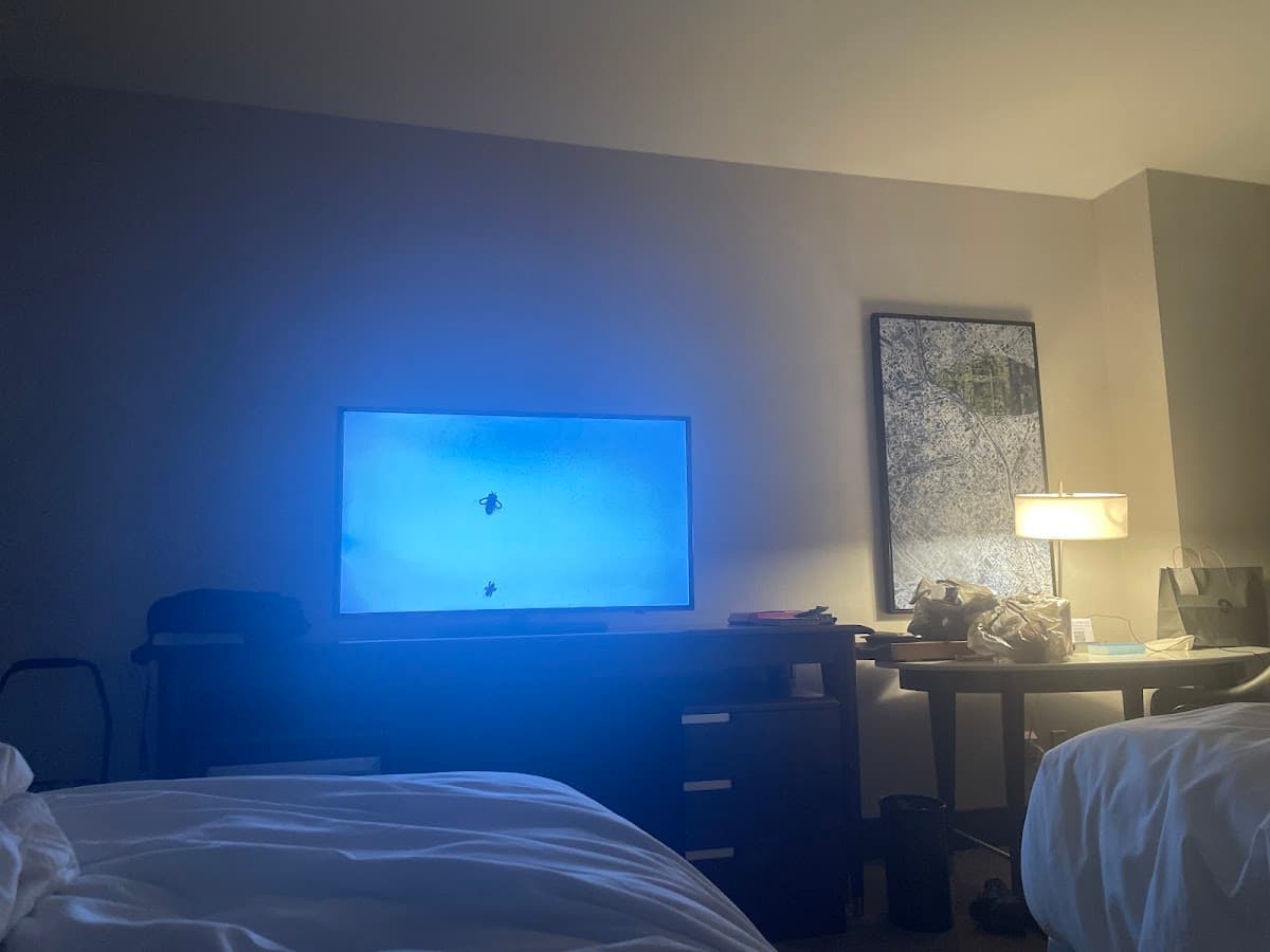Sheraton Dallas Hotel — photo 2