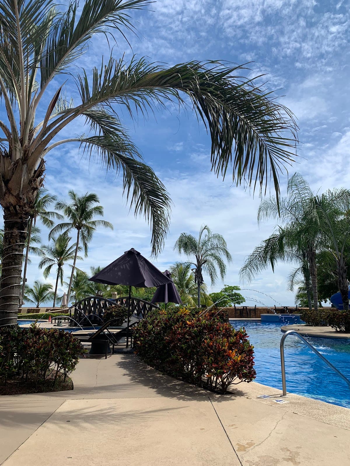 The Palms Ocean Club Resort — photo 5