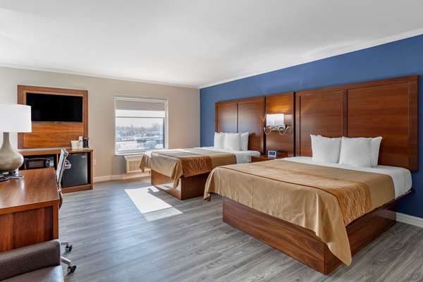 Comfort Suites St. Louis - Sunset Hills — photo 2
