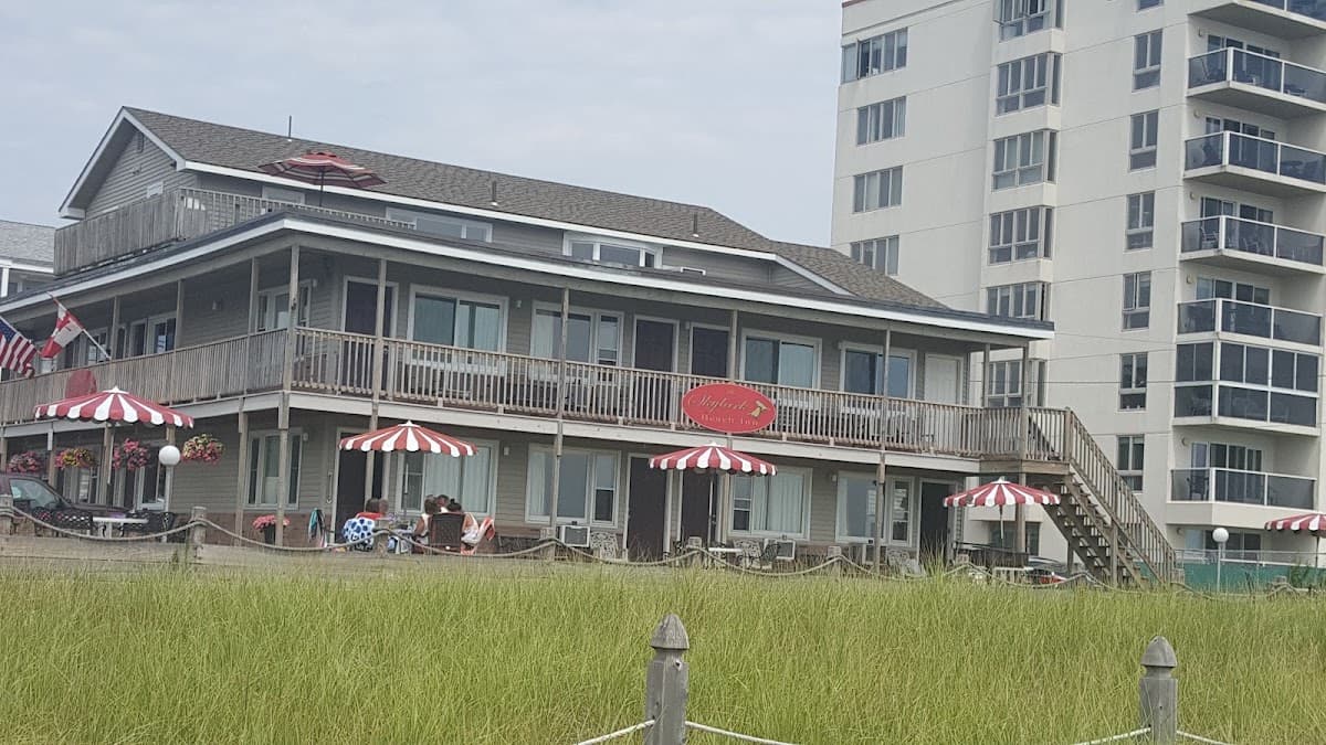 Skylark Beach Inn — photo 5