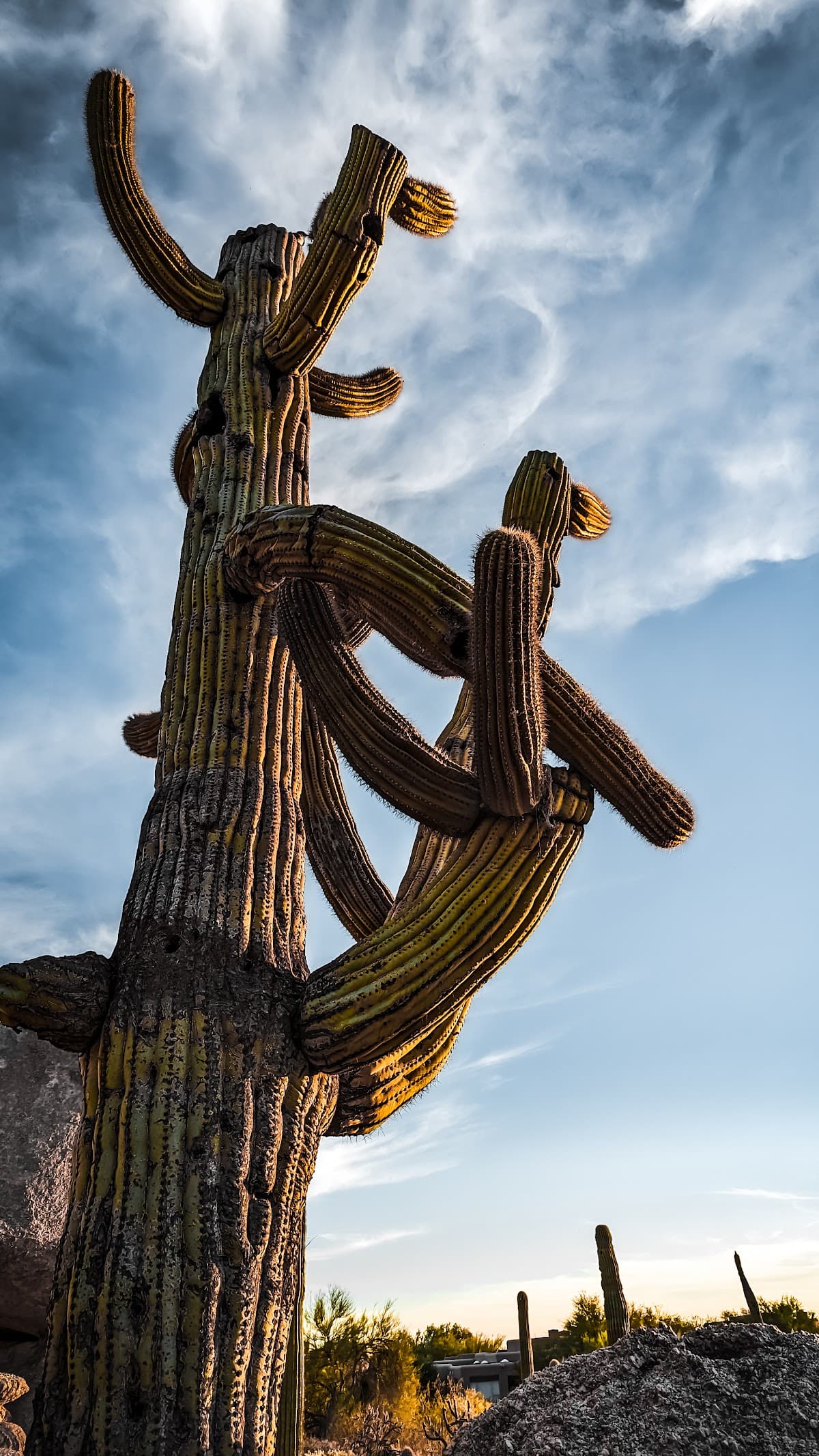 The Boulders — photo 1