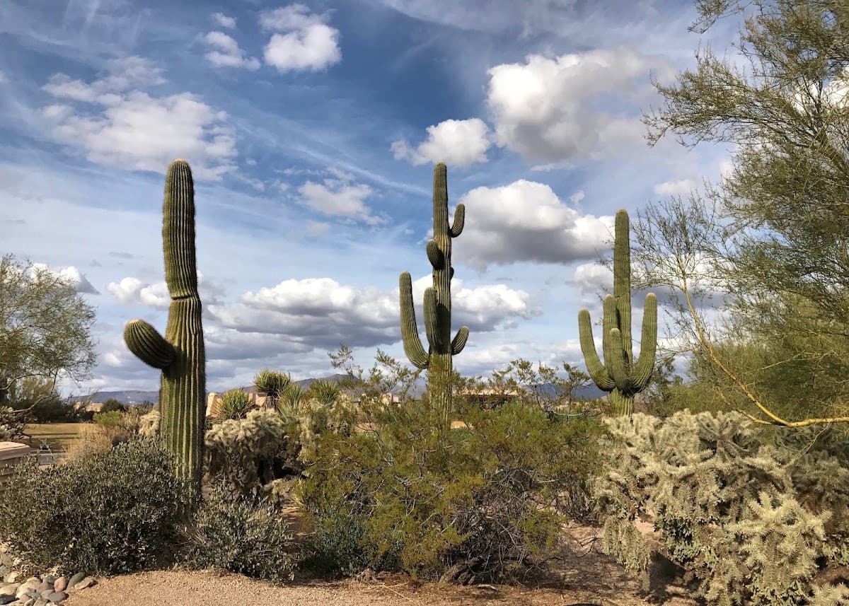 The Boulders — photo 5