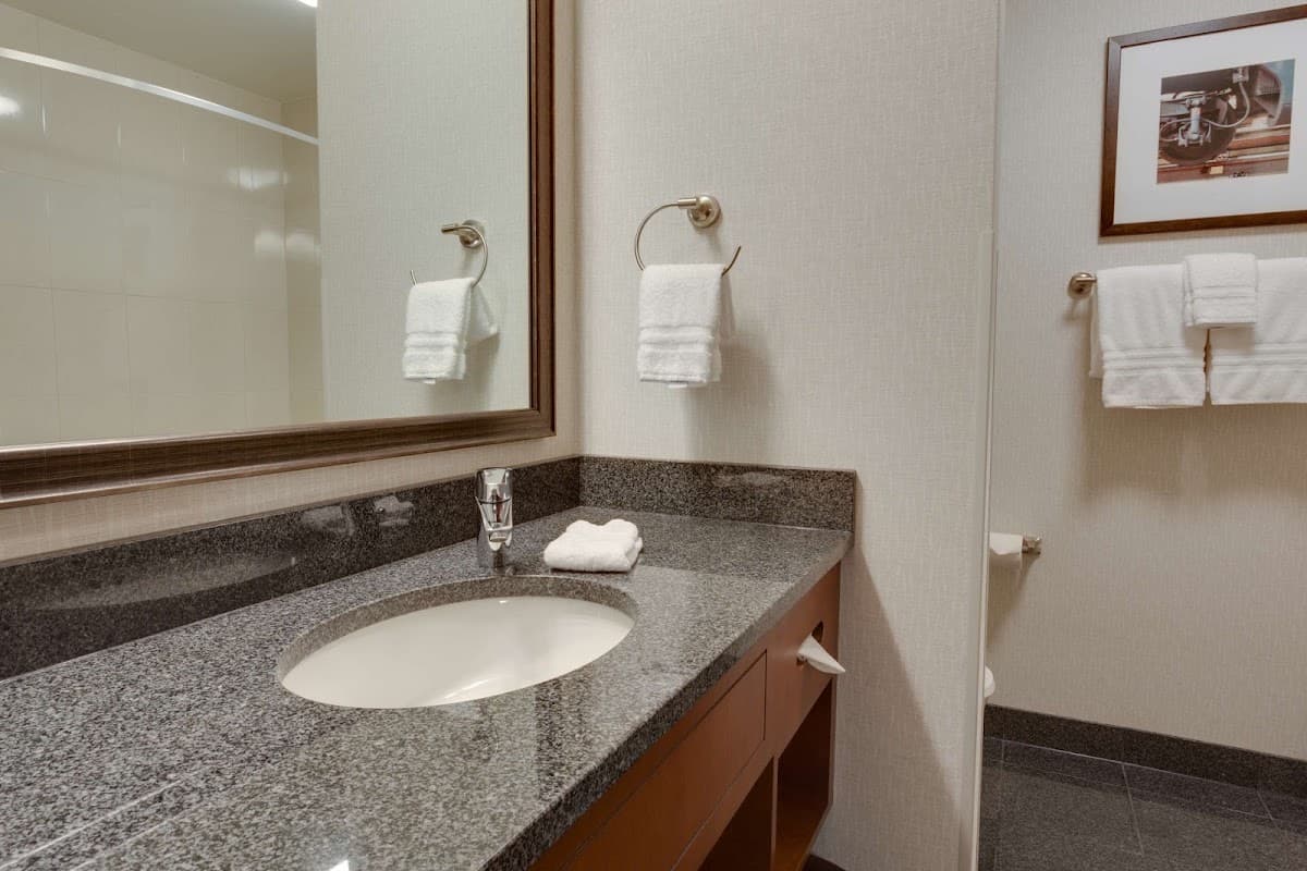 Drury Plaza Hotel St. Louis St. Charles — photo 4