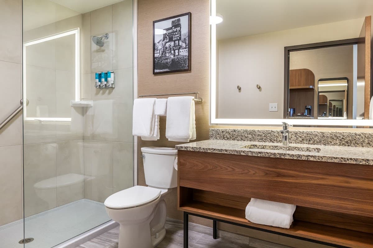 Drury Plaza Hotel Pigeon Forge — photo 4