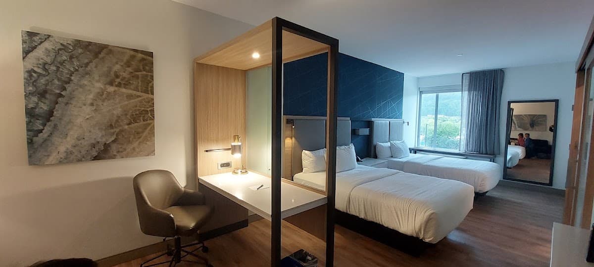 SpringHill Suites by Marriott Roanoke North — photo 2