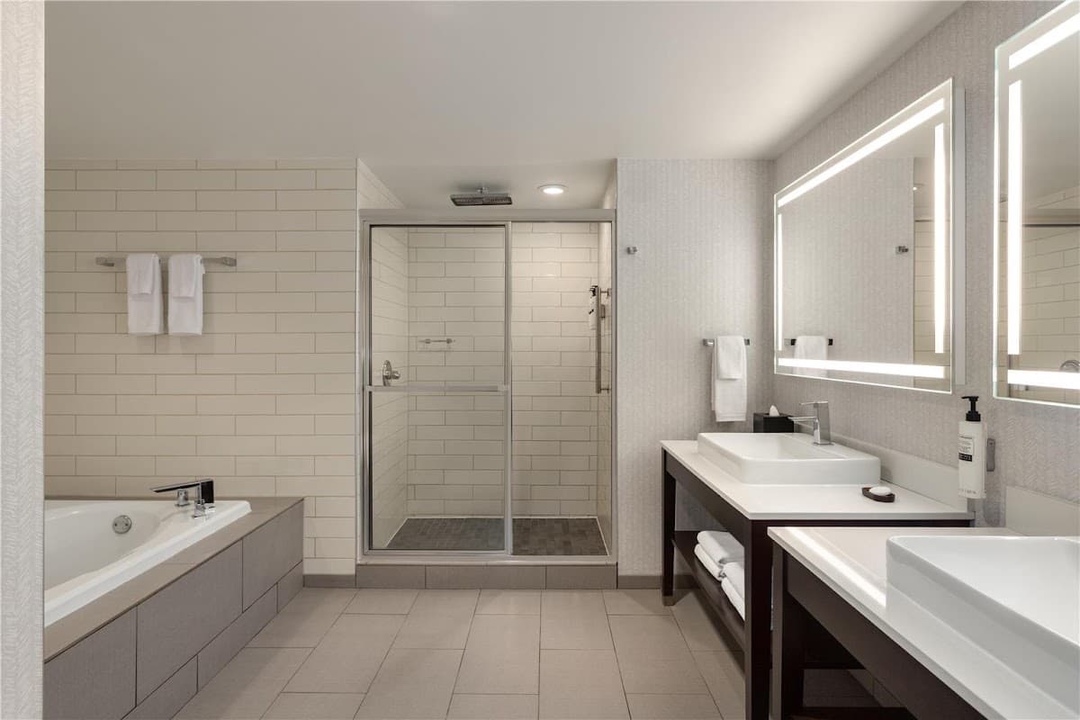 Embassy Suites by Hilton Atlanta at Centennial Olympic Park — photo 4