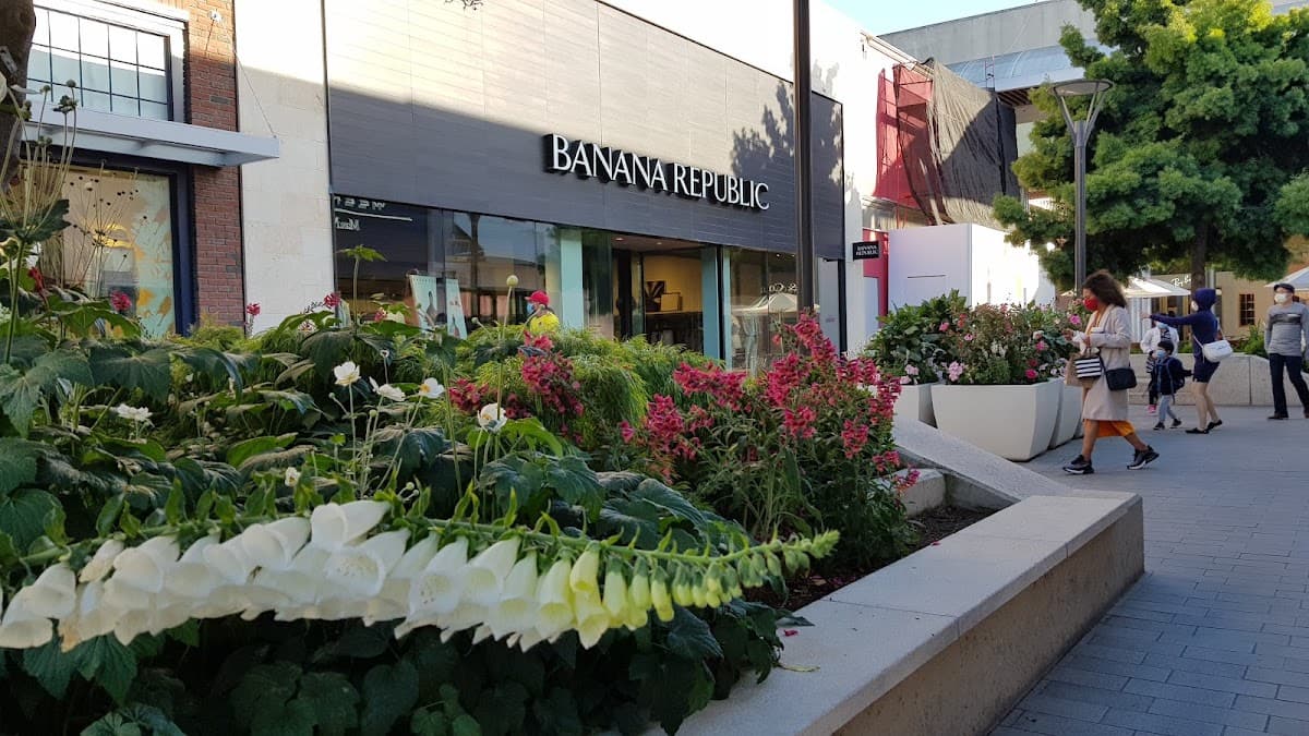 Banana Republic — photo 1