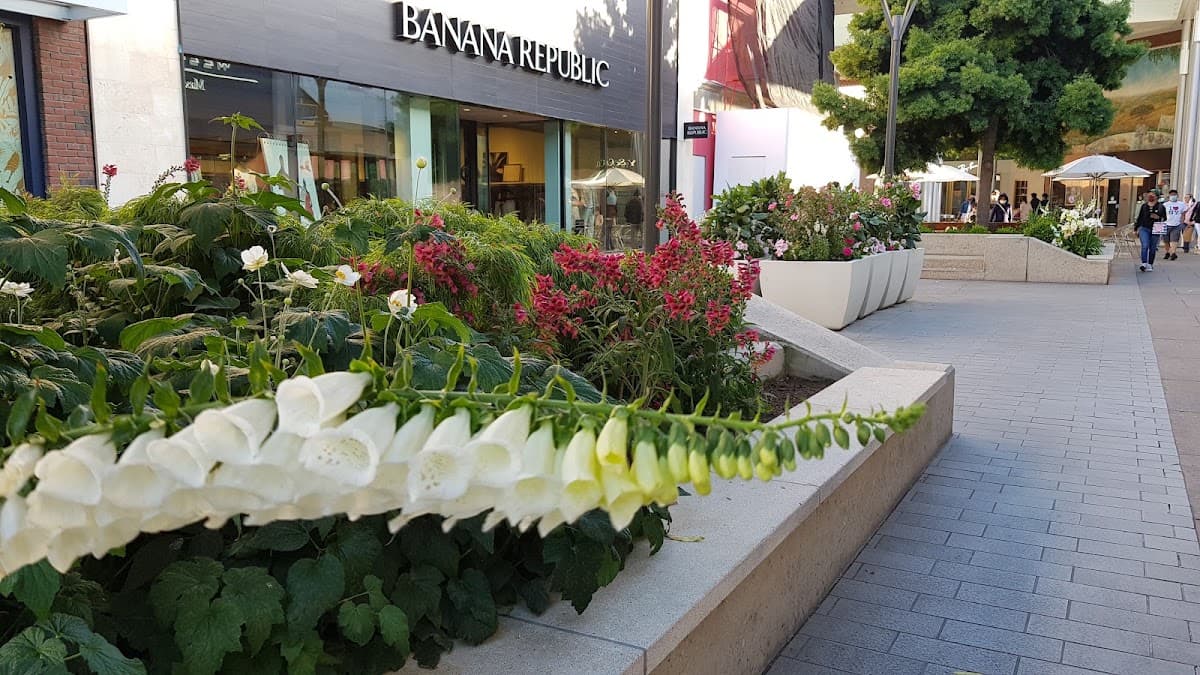 Banana Republic — photo 4