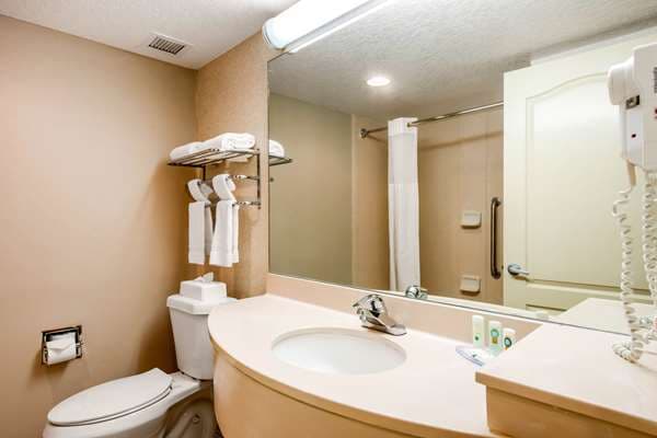 Quality Inn & Suites Tarpon Springs South — photo 4