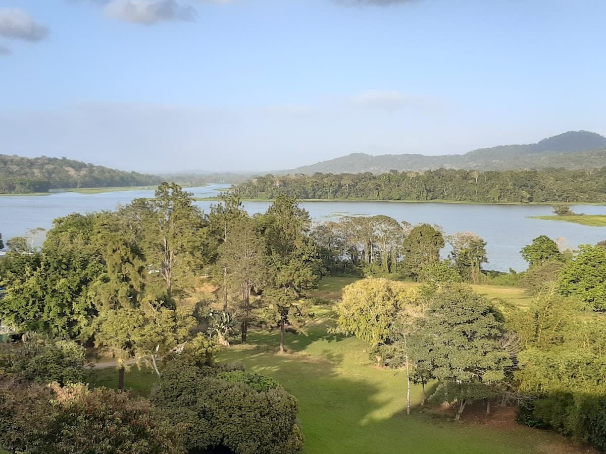 Gamboa Rainforest Reserve — photo 3