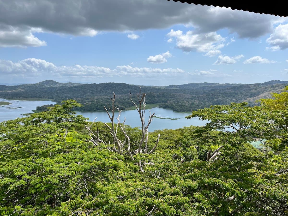 Gamboa Rainforest Reserve — photo 4