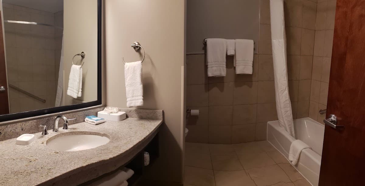 Drury Plaza Hotel Dallas Richardson — photo 4