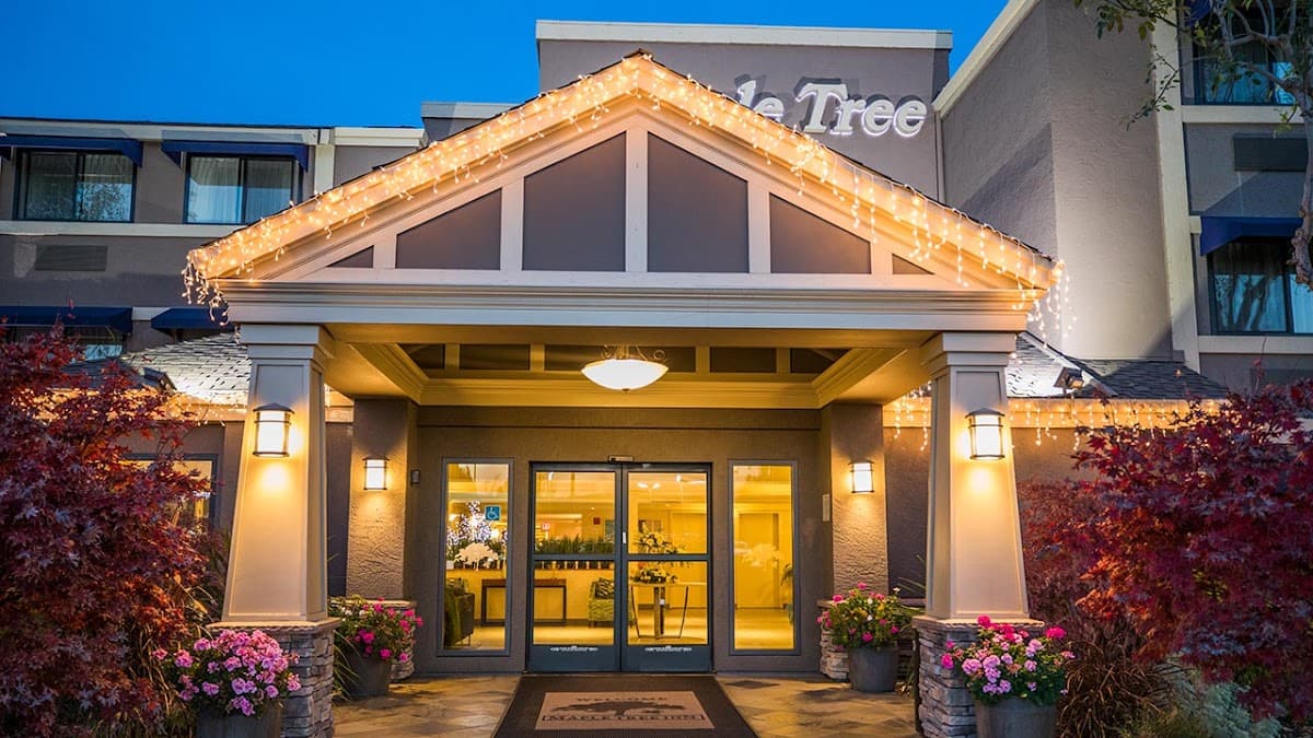 Maple Tree Inn — photo 1