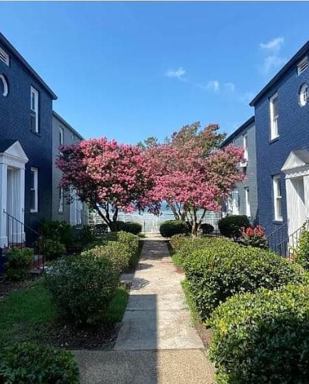 Shipyard Shores — photo 1