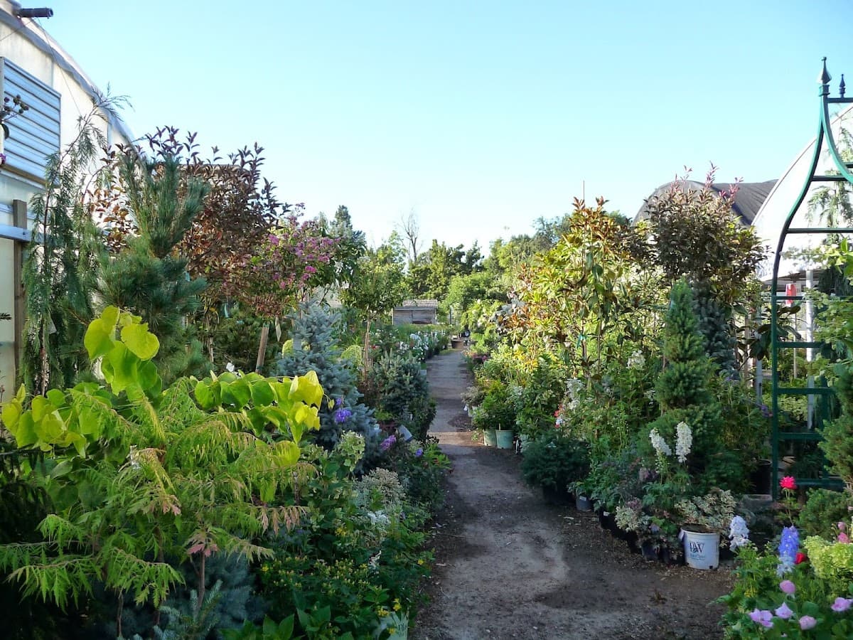 Edwards Greenhouse & Flowershop — photo 4
