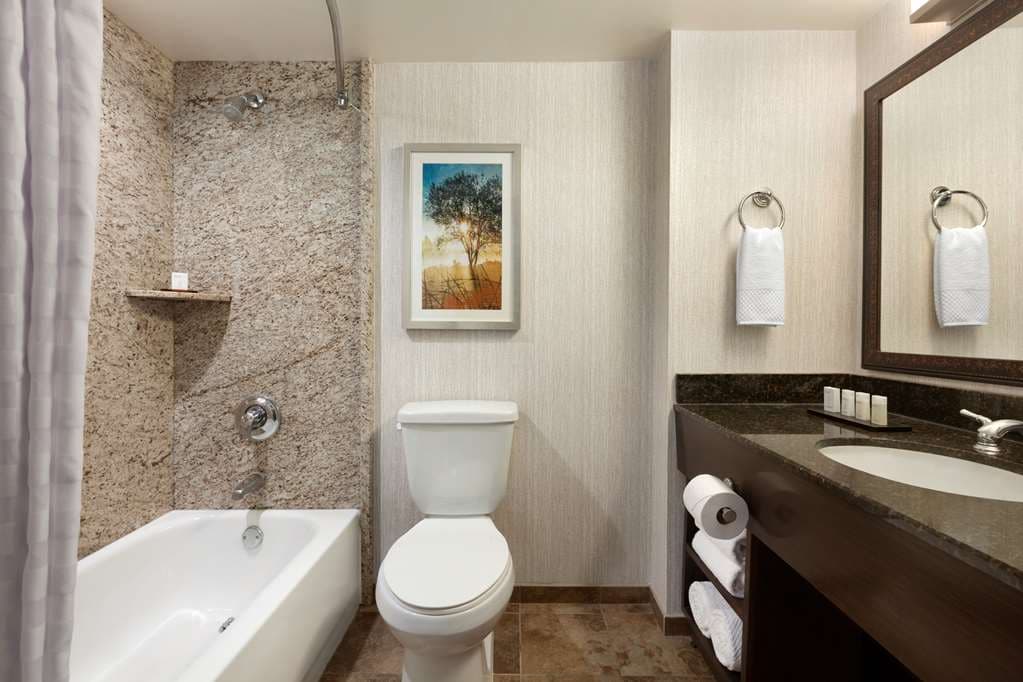 Embassy Suites by Hilton Brea North Orange County — photo 4