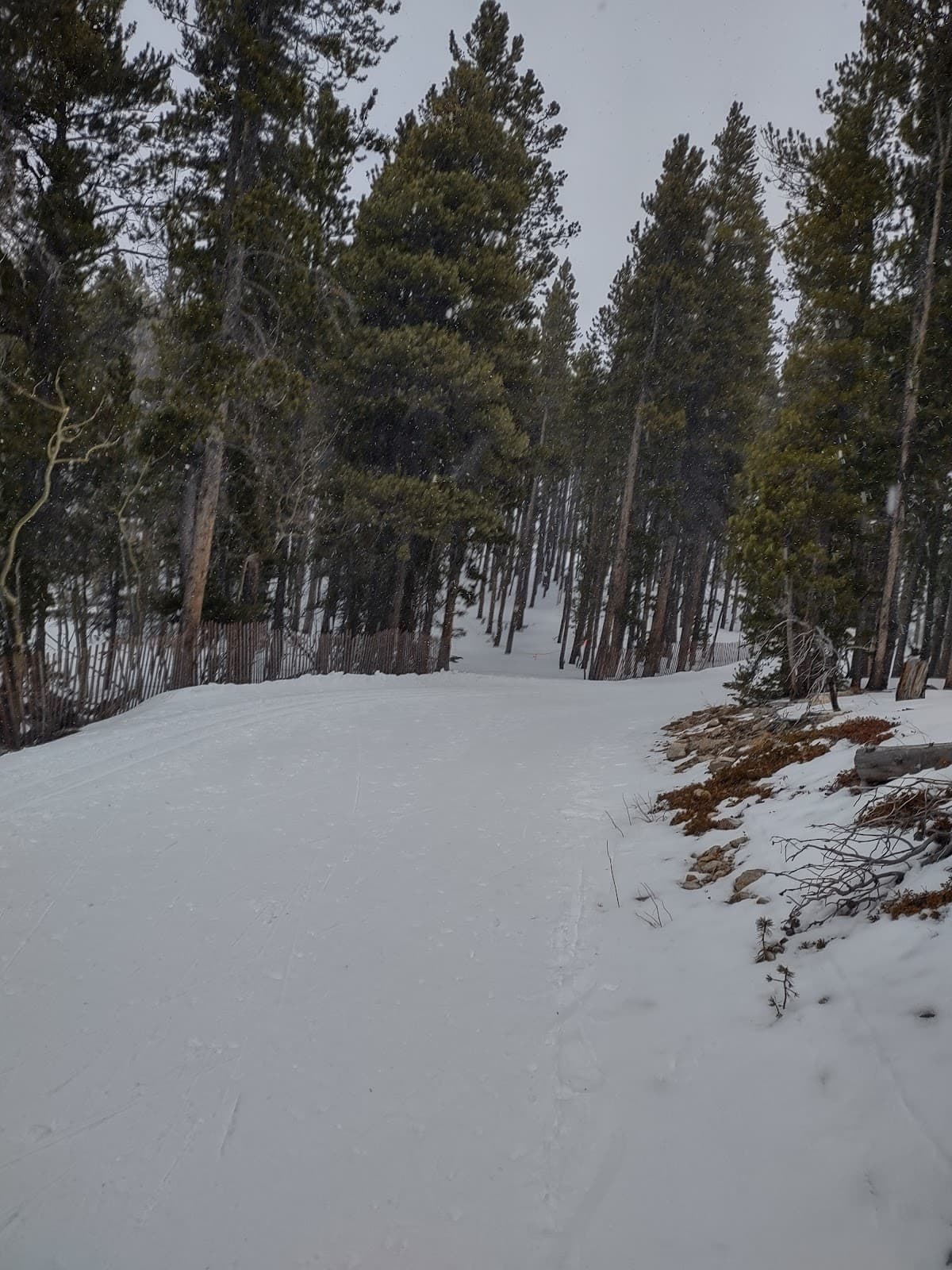 Eldora Cross Country Skiing — photo 1