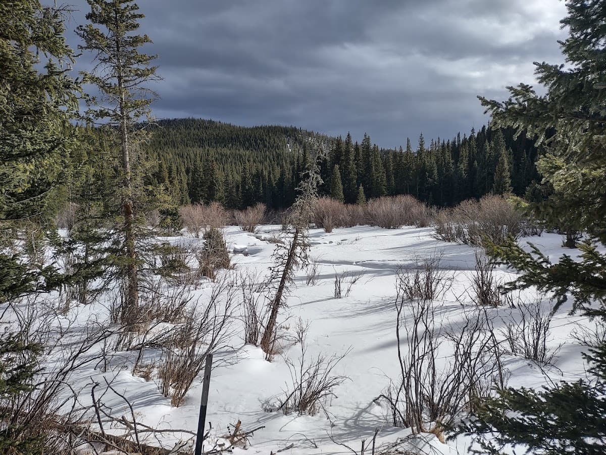 Eldora Cross Country Skiing — photo 2