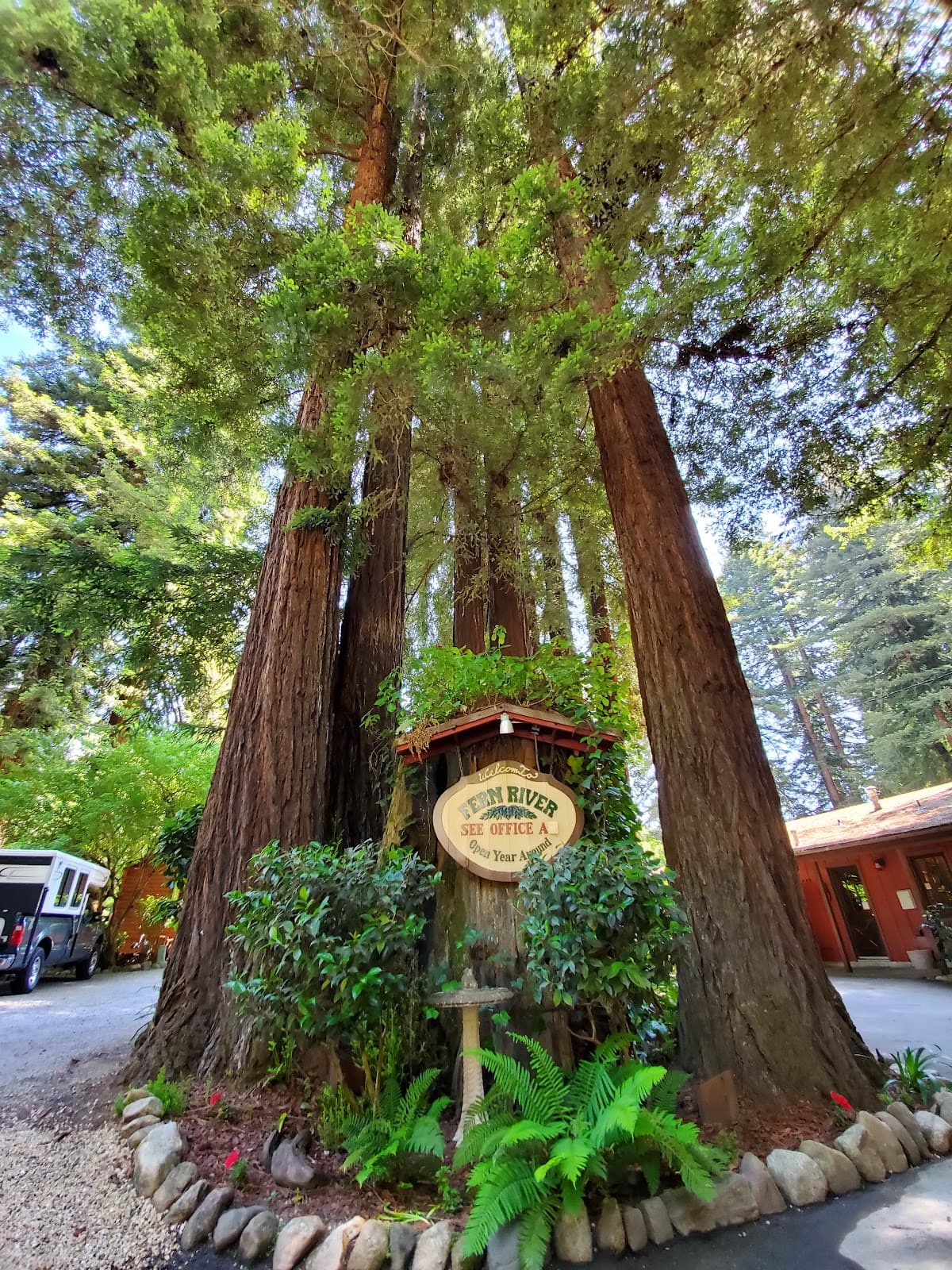 Fern River Resort — photo 4