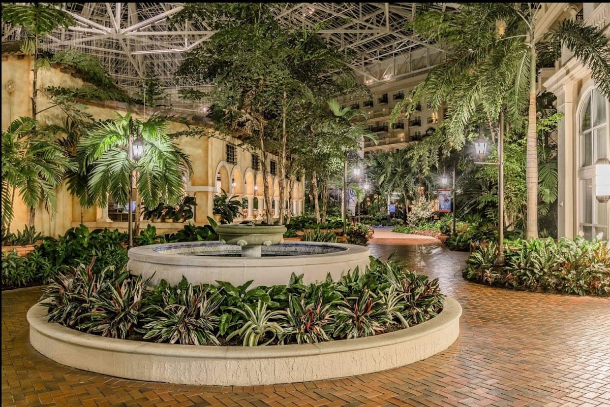 Gaylord Palms Resort & Convention Center — photo 4