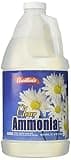 Austin's Clear Ammonia Cleaner — photo 1