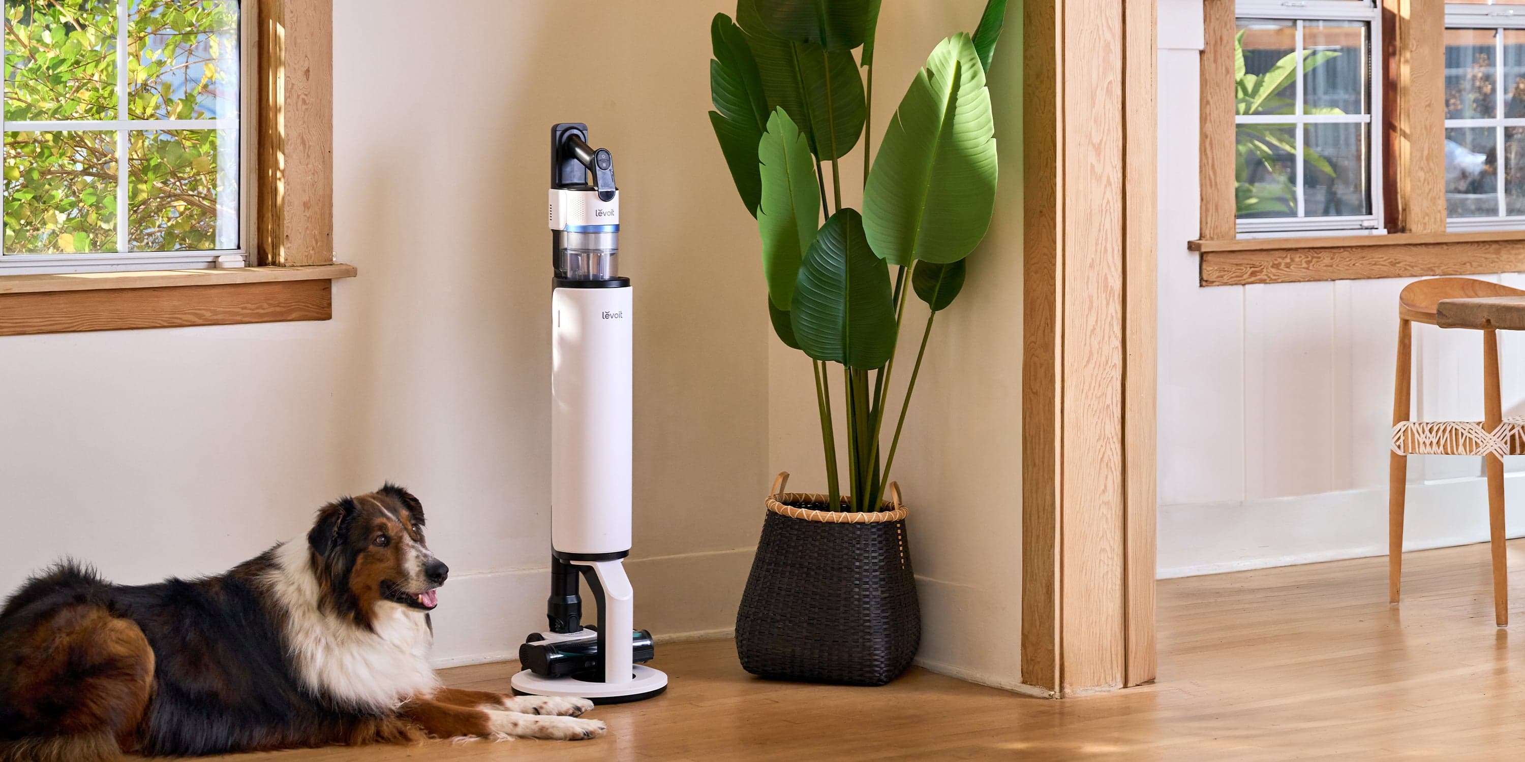 Levoit Air Purifier
